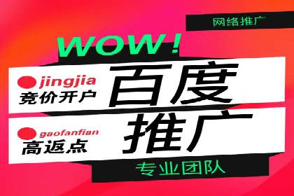 百度竞价SEM策略解析：某品牌广告成功的关键因素