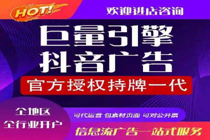SEM广告投放的创意与执行：成功案例剖析